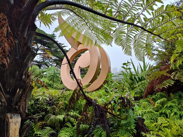 IMG 20240116 143141947 HDR