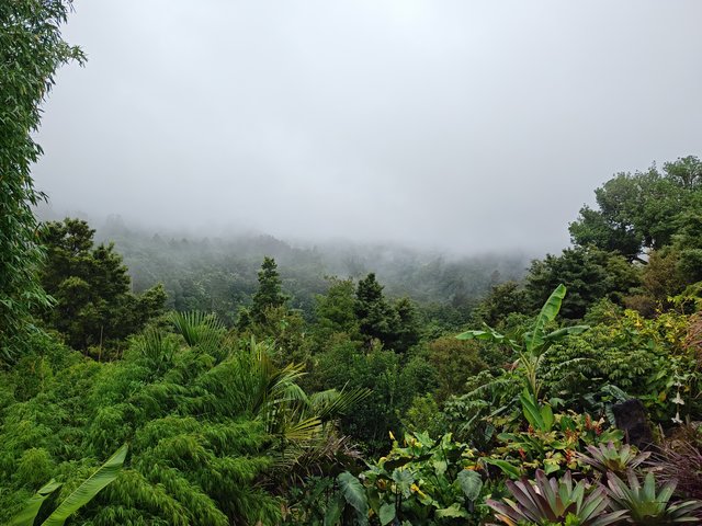 IMG 20240116 145013723