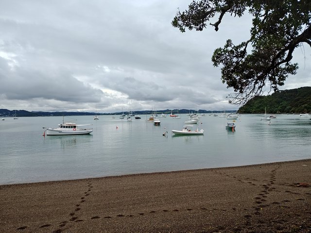 IMG 20240116 191928650 HDR