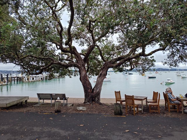 IMG 20240116 194213195 HDR