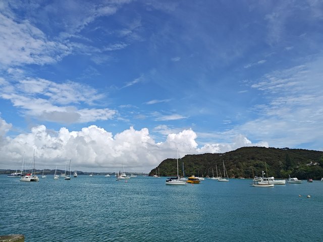 IMG 20240117 105020627