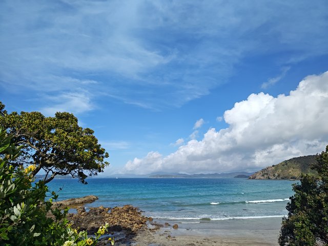 IMG 20240117 180219812