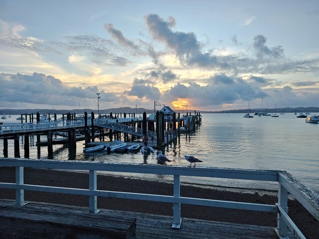 IMG 20240117 202759939 HDR