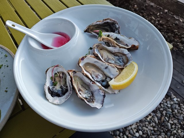 IMG 20240117 204422805