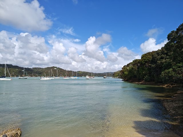 IMG 20240118 105041646