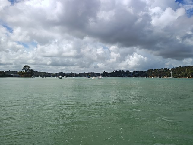 IMG 20240118 105524044