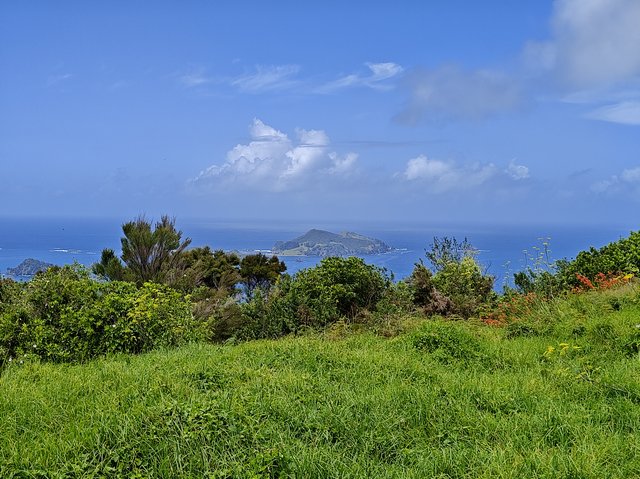 IMG 20240118 143221816