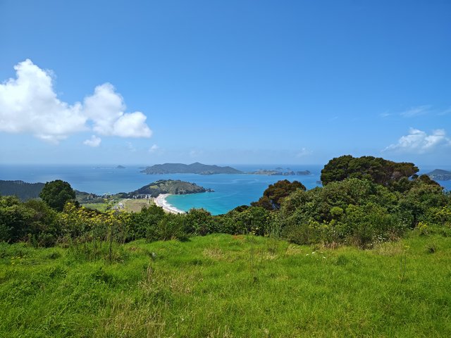 IMG 20240118 143244461