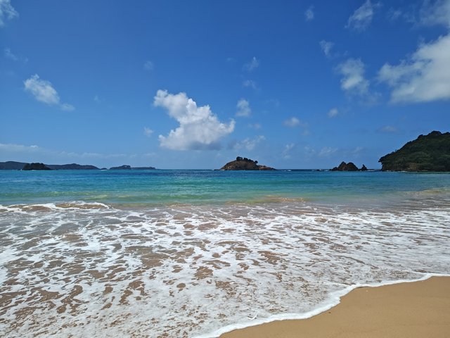 IMG 20240118 150939584