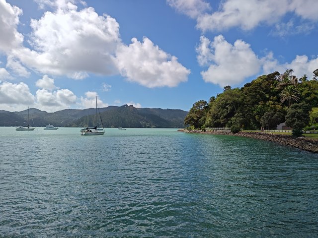 IMG 20240118 162212213