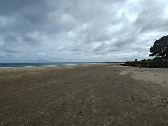 IMG 20240119 101115074 HDR