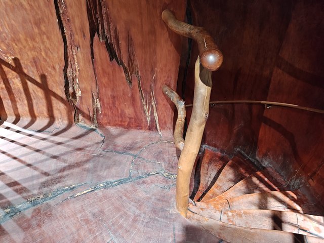 IMG 20240119 121812164