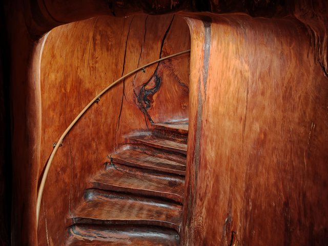 IMG 20240119 121913818