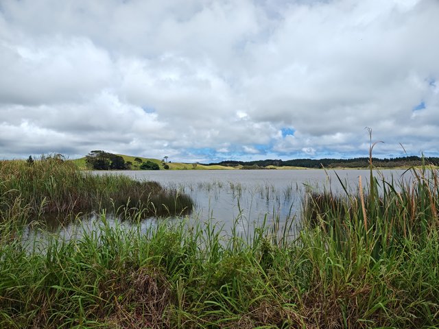 IMG 20240119 132034651