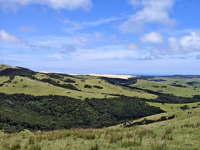 IMG 20240119 145530187