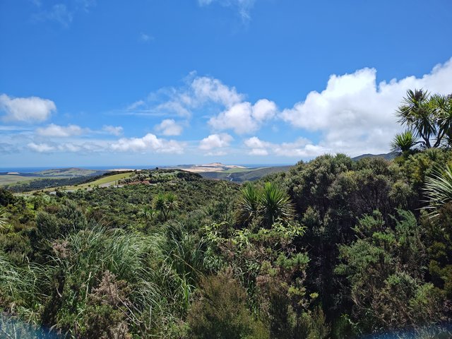 IMG 20240119 150307414