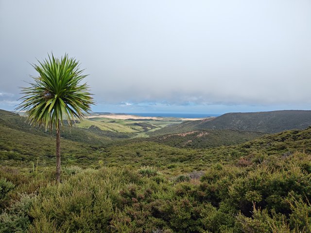 IMG 20240119 152808669