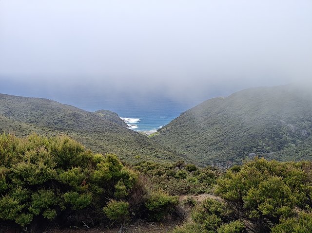 IMG 20240119 153211993