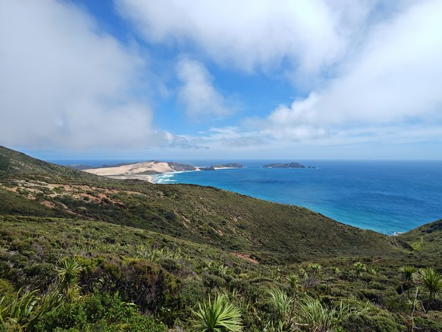 IMG 20240119 154126408