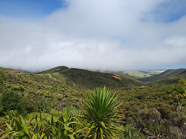 IMG 20240119 154511152