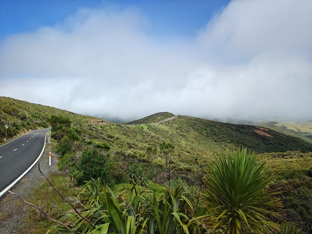 IMG 20240119 154525908