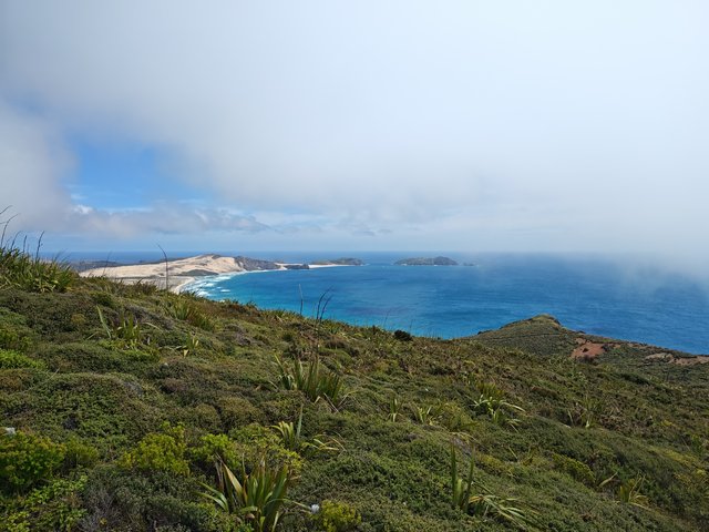 IMG 20240119 154959302