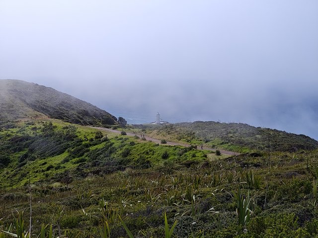 IMG 20240119 160550322