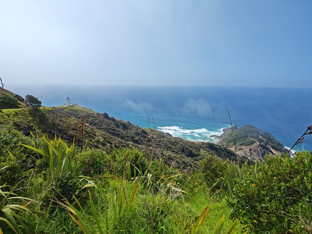 IMG 20240119 161634964