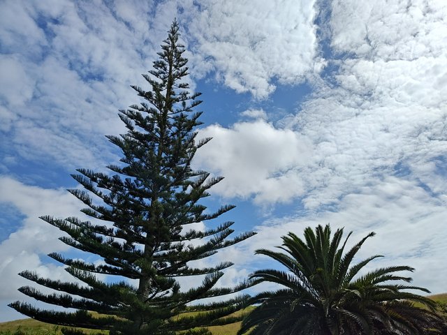 IMG 20240120 103919210 HDR