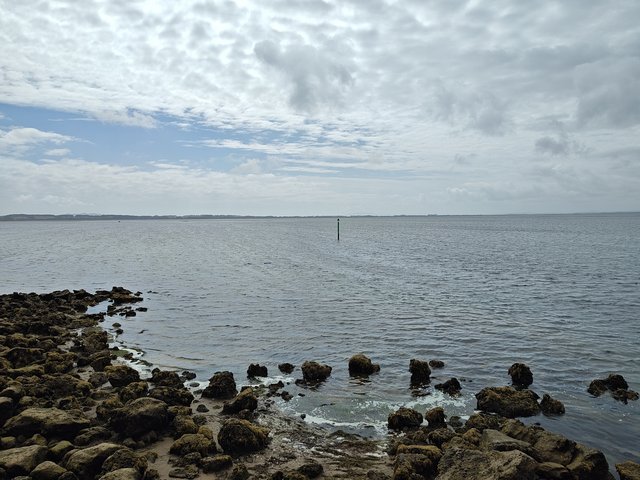 IMG 20240120 105535394