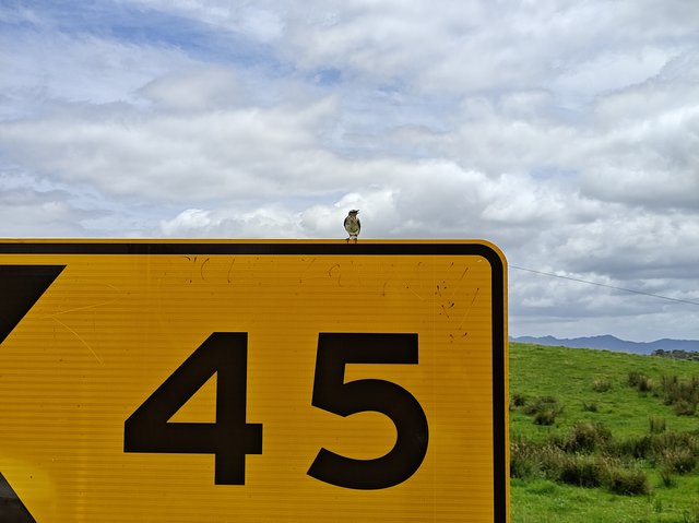 IMG 20240120 134357448