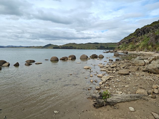 IMG 20240120 165334860