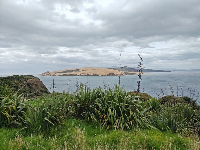 IMG 20240120 172601064