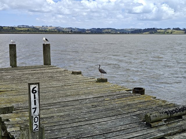 IMG 20240121 135757519