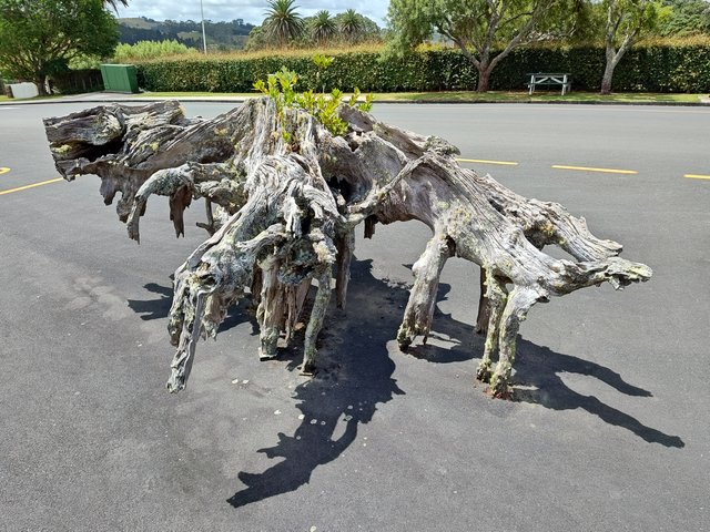 IMG 20240121 144248957 HDR