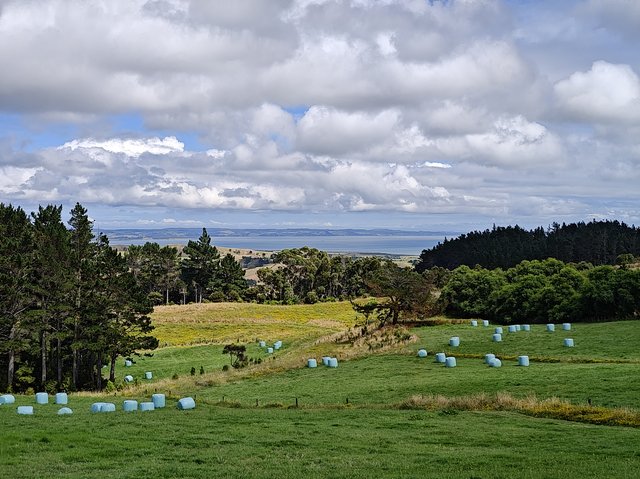 IMG 20240122 110748324