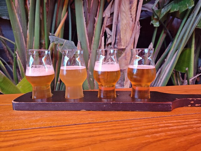 IMG 20240122 130739479