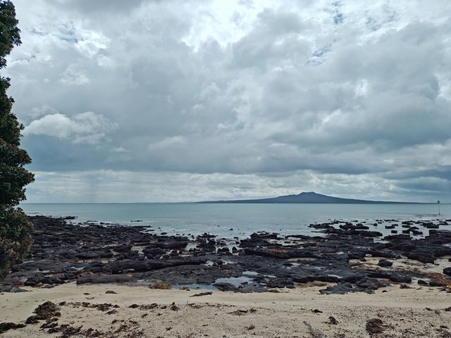 IMG 20240123 105359569